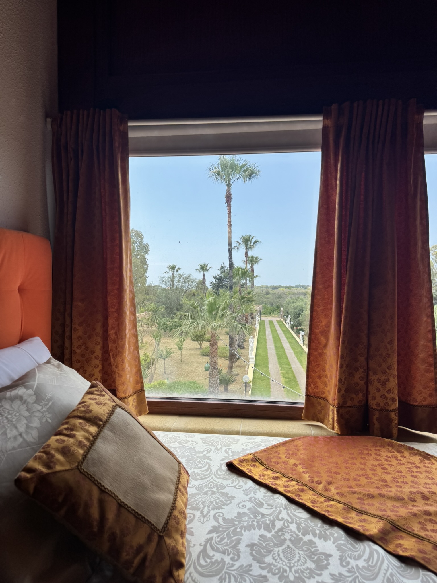 Vista dal letto della Suite — palme e vialetto del parco